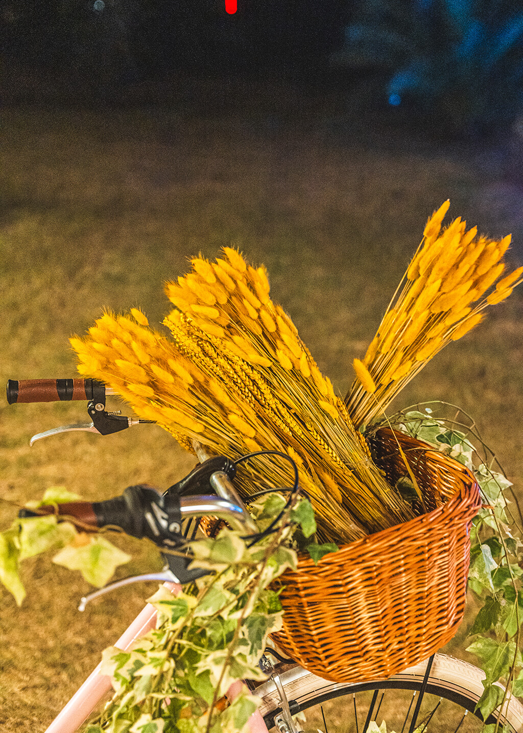 Organisation-dîners-grands-chefs-provence