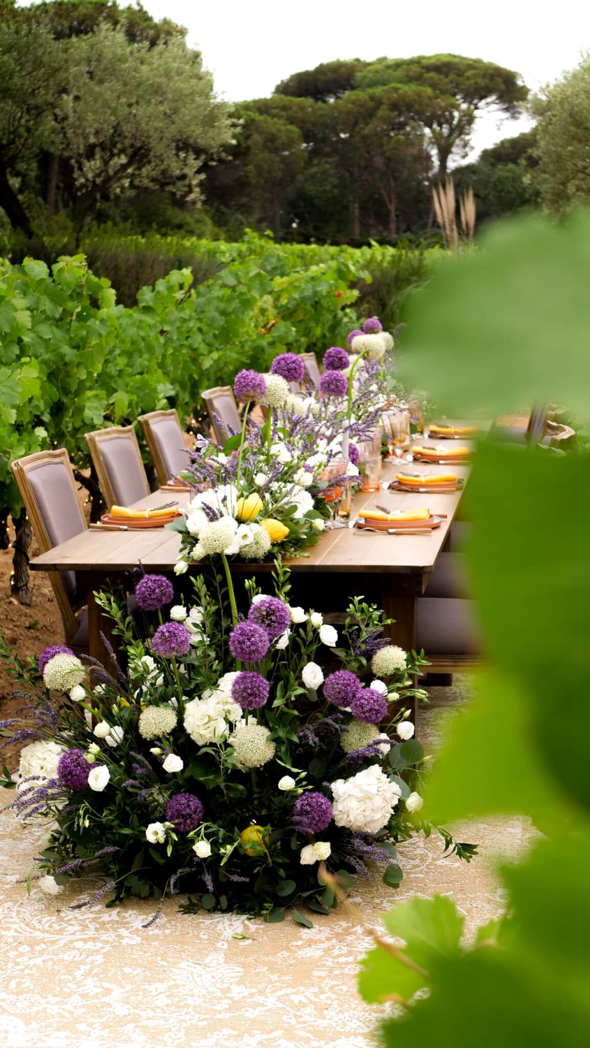 Organisation-soirées-privées-nice5