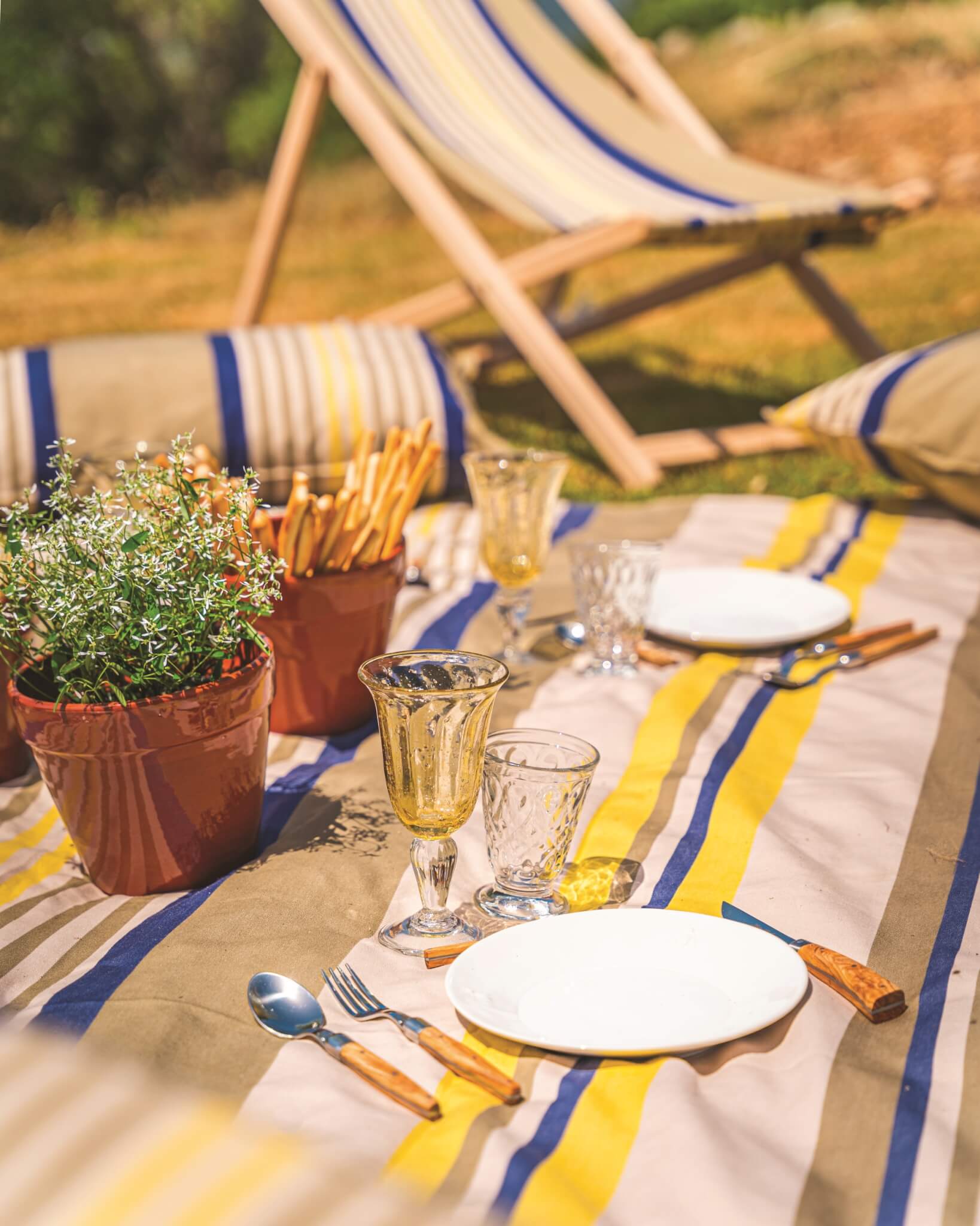 Organisation-pique-nique-chic-Côte-d-azur3