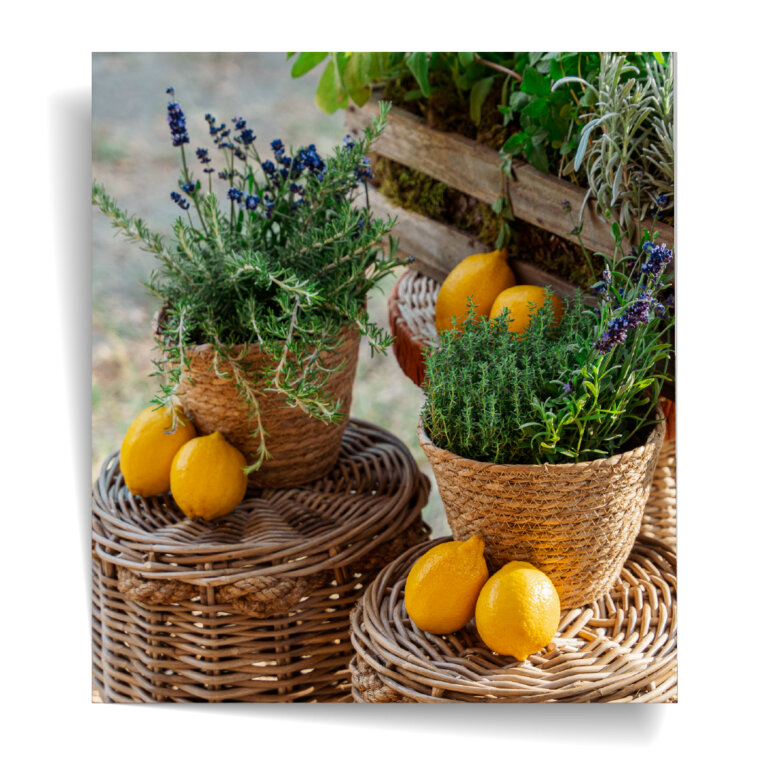 PRIVATE EVENTS ORGANISER UNE GARDEN PARTY AGENCE HEDONISTERIE